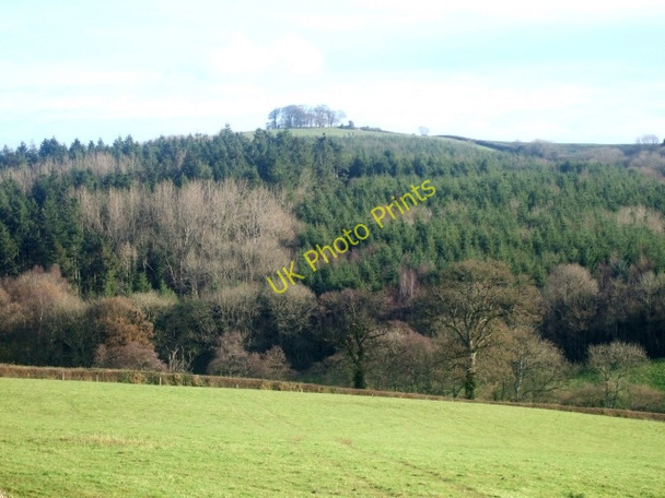 Photo 6"x4" Woodland and fields to south of Westwood Farm Stockleigh Pomeroy c2009