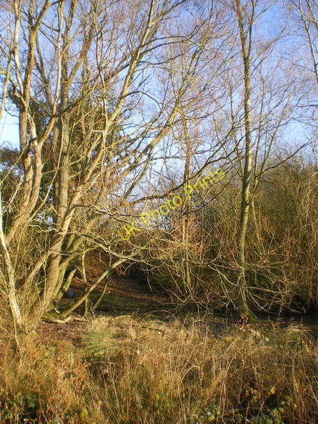 Photo 6"x4" Dried-up pond behind Church Farm, Kemberton Brockton\/SJ7203 c2009