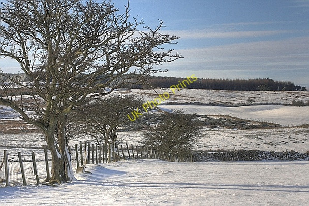 Photo 6"x4" Field Boundary, Kirby Hill Kirby Hill\/NZ1306 c2009
