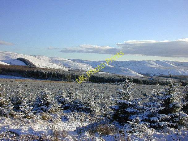 Photo 6"x4" The Myherin Forest in winter Cwmystwyth c2001