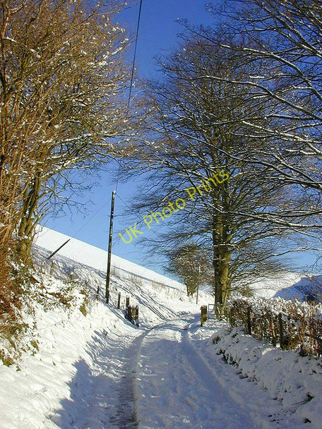 Photo 6"x4" Cattle grid in snow Aberffrwd\/SN6878 c2000