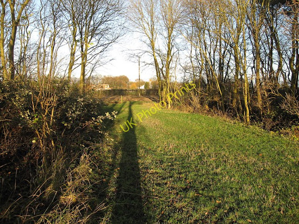 Photo 6"x4" Path through Hill Crofts wood Weston Colville c2009