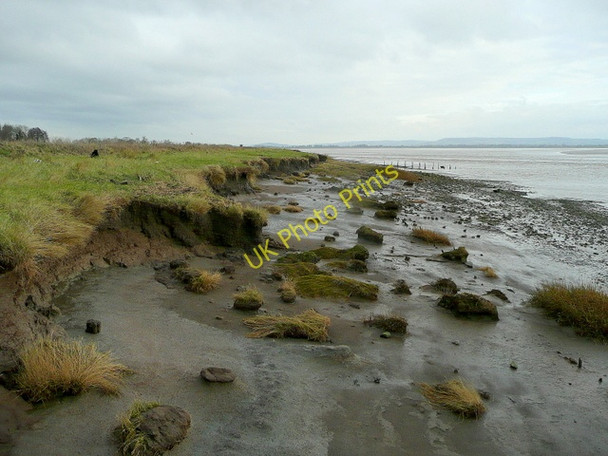 Photo 6"x4" Severn bank near Awre Awre c2009