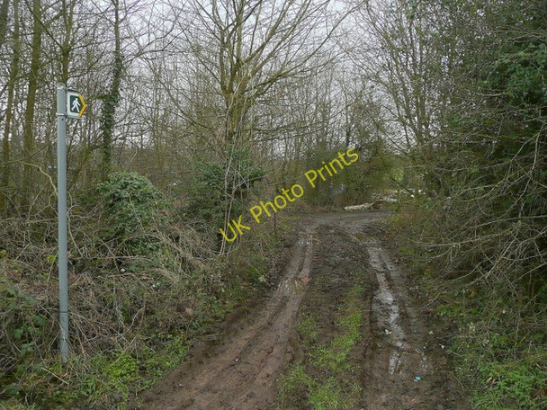 Photo 6"x4" Muddy path west to Pope's Hill Elton\/SO6913 c2009