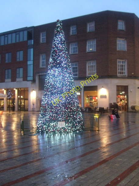 Photo 6"x4" Christmas Tree 2009, Bedford Street, Exeter Exeter c2009