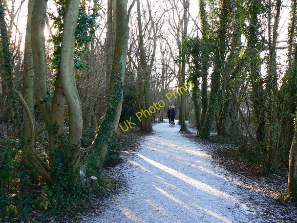 Photo 6"x4" Path round the lake, Coate Water Country Park, Swindon Badbury Wick c2010