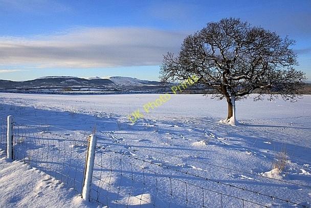 Photo 6"x4" The Old Cricket Field, Kildale Kildale c2010