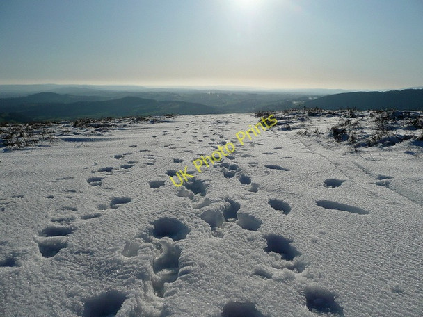 Photo 6"x4" Footprints in the snow White Rocks c2010