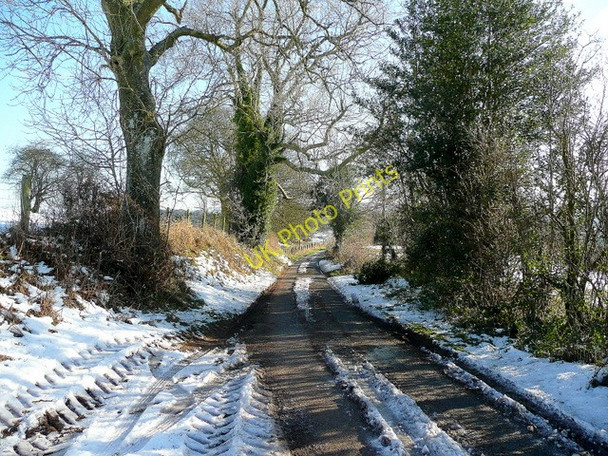 Photo 6"x4" Lane from White Rocks Garway Hill c2010