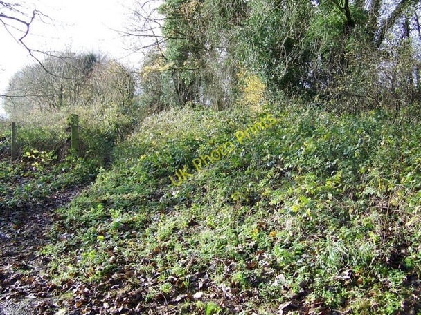 Photo 6"x4" Footpath, Marridge Hill Preston\/SU2773 c2009