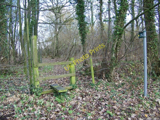 Photo 6"x4" Stile, Moon's Copse Ragnal c2009