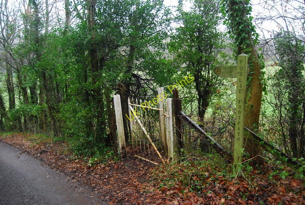 Photo 6"x4" Footpath off Leigh Lane Lower Vexford c2009