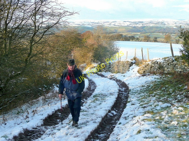 Photo 6"x4" Walking on Alt Common Archenfield c2010