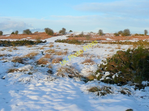 Photo 6"x4" Little Mountain Archenfield c2010
