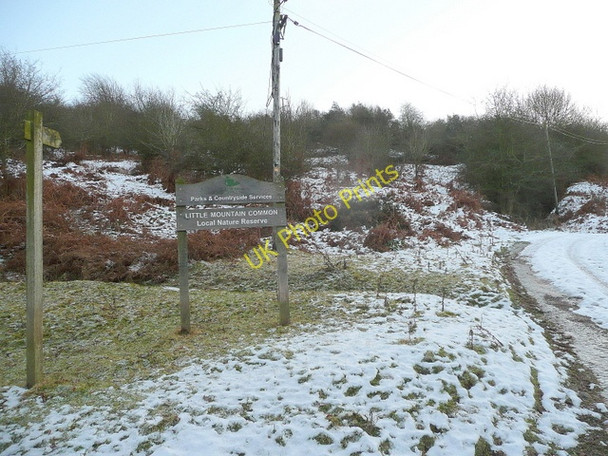 Photo 6"x4" Little Mountain Common Westbrook\/SO2843 c2010