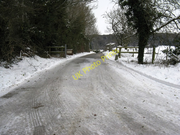 Photo 6"x4" Entrance to Black Barn Farm Madehurst c2010