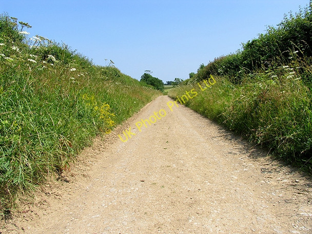 Photo 6"x4" Country Road from Ampney St Mary's to the Roman Road Ampney St Mary c2005