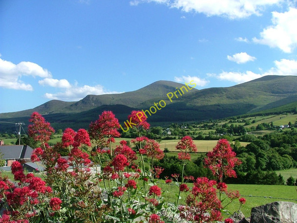 Photo 6"x4" Mountains of Mourne Newcastle\/J3732 c2004