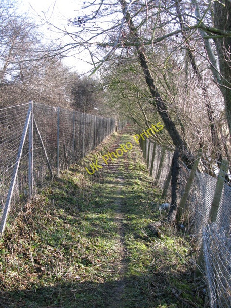 Photo 6"x4" Footpath between the railway embankment and a stream Lilyvale\/TR0839 c2010