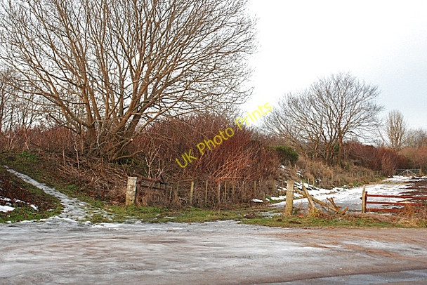 Photo 6"x4" River Embankment near Waterford Forres c2010