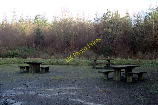 Photo 6"x4" Picnic Area in Holsworthy Woods Holsworthy c2010