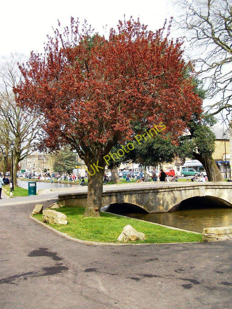 Photo 6"x4" River Windrush, Bourton-on-The -Water Bourton-on-the-Water c2007