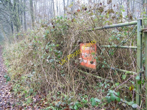 Photo 6"x4" Gate, West Wood Compton Abbas c2010