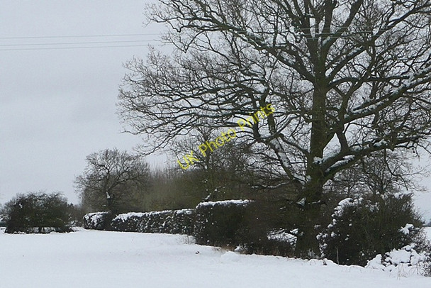 Photo 6"x4" Footpath to Stratfield Saye Stratfield Saye c2010