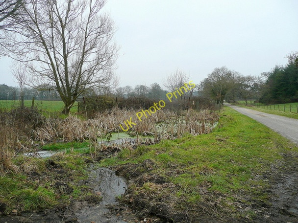 Photo 6"x4" Marshy area by a road Cold Harbour\/SY9089 c2010