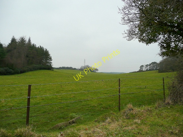 Photo 6"x4" Pasture and woodland Cold Harbour\/SY9089 c2010