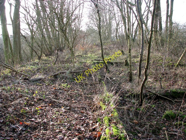 Photo 6"x4" Gt Yarmouth to St Olaves railway - Belton\/Fritton Belton\/TG4802 c2010