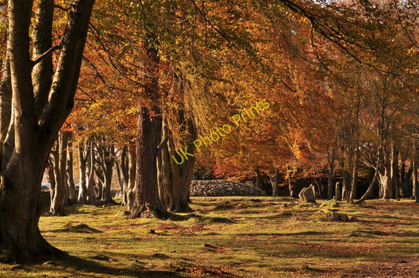 Photo 6"x4" Clava Cairns Leanach\/NH7544 c2009