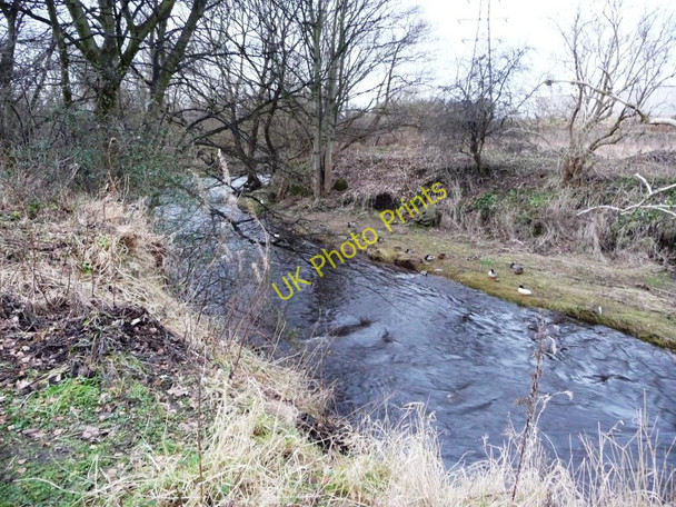 Photo 6"x4" Water of Leith, just below the confluence with Murray Burn Stenhouse\/NT2171 c2010