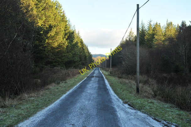 Photo 6"x4" Unclassified road through the trees near the Moine Mhor Barsloisnoch c2010