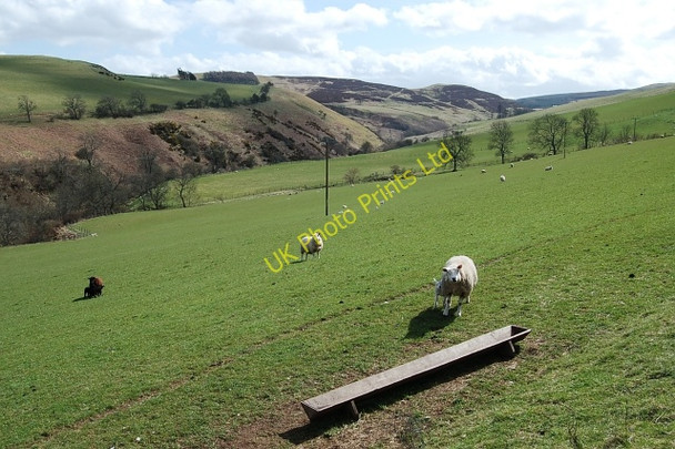 Photo 6"x4" By Auchtenny Path of Condie c2006