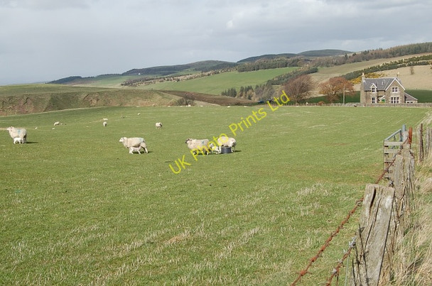 Photo 6"x4" By Mains of Struie Path of Condie c2006