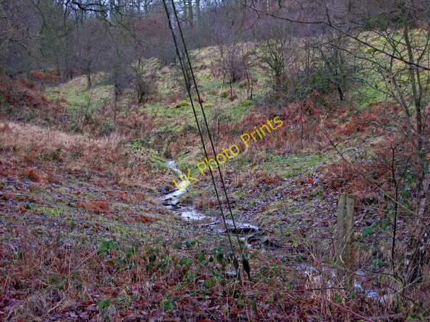 Photo 6"x4" Small stream in Wyre Forest Buttonoak c2010