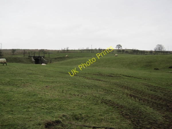 Photo 6"x4" Disused Railway Line (Border Counties Railway) Bellingham\/NY8383 c2010