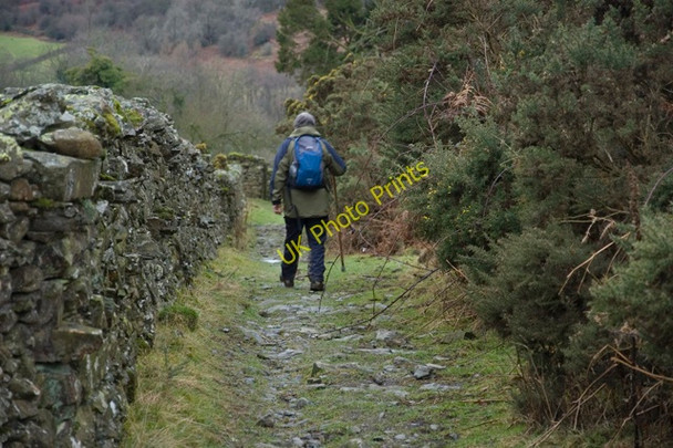 Photo 6"x4" Bridleway at Hart Howe Winster\/SD4193 c2010