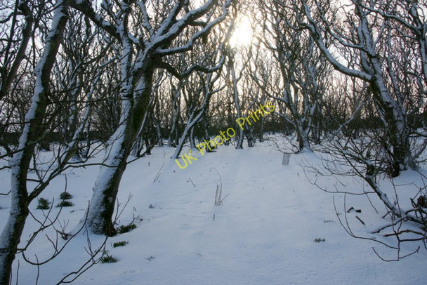 Photo 6"x4" Halligarth, Baltasound, in the snow Baltasound c2010