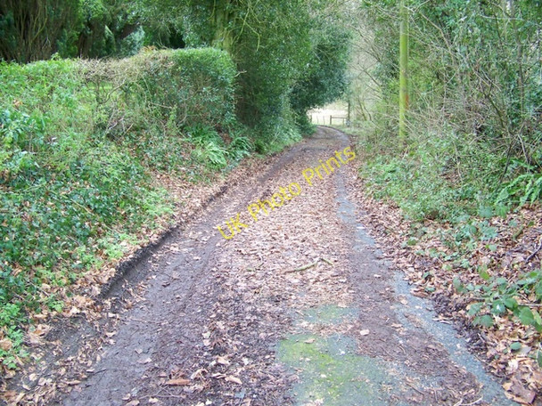 Photo 6"x4" Footpath, Compton Abbas Compton Abbas c2010