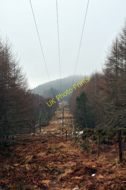 Photo 6"x4" Telegraph lines in Glen Cannich Cannich c2010