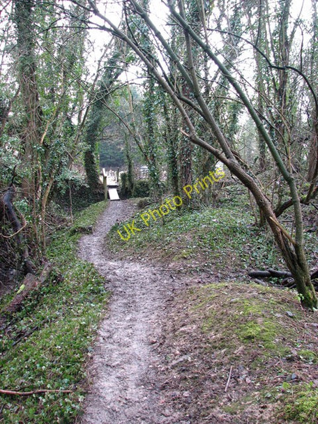 Photo 6"x4" Public footpath approaching St Michael's church Great Moulton c2010