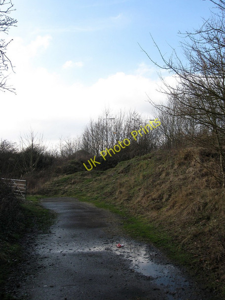 Photo 6"x4" Field Entrance, Pevensey Roundabout Pevensey Bay\/TQ6504 c2010