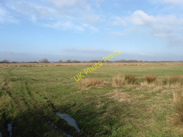Photo 6"x4" Upper Marsh Pevensey Bay\/TQ6504 c2010