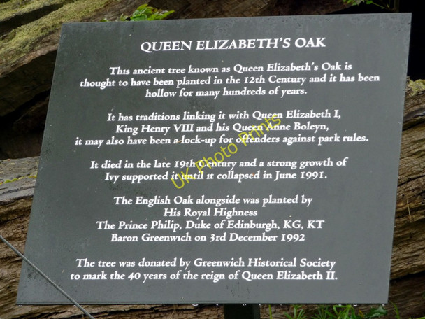 Photo 6"x4" Queen Elizabeth's Oak, Greenwich Park, Greenwich Greenwich\/TQ3977 c2009