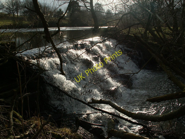 Photo 6"x4" Sunlight on the weir Raw Green c2010