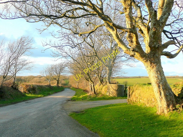 Photo 6"x4" Sun-lit lane north of Lochmeyler Llandeloy c2010