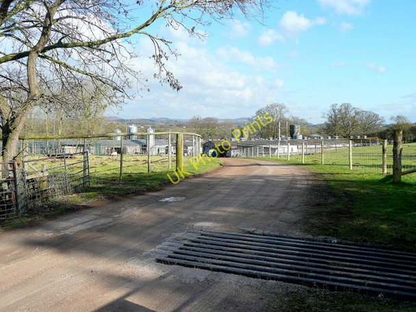Photo 6"x4" Moor Oak Poultry Farm Poun c2010