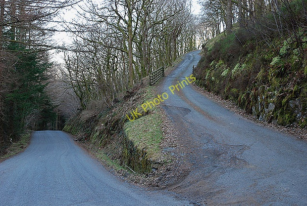 Photo 6"x4" Track to Caeceinach farm Cwrt\/SH6800 c2010